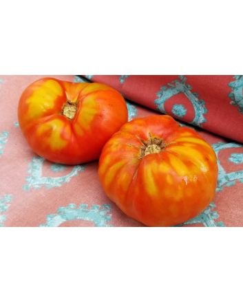 Tomato 'Andrew Rahart's Jumbo Red'