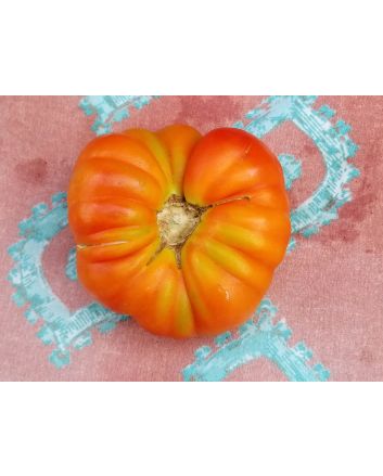Tomato 'El Nano'