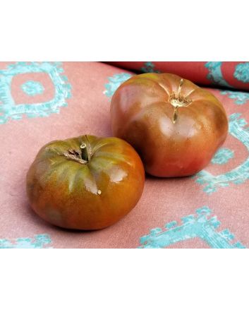Tomato 'Black Russian'