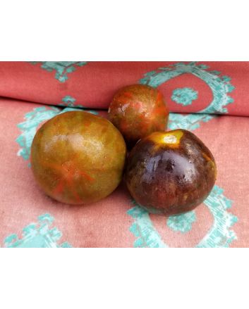 Tomato 'Cosmic Eclipse'