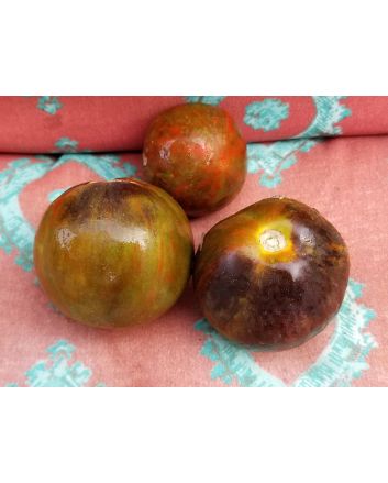 Tomato 'Cosmic Eclipse'