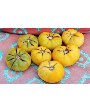 Tomato 'Hawaiian Pineapple' 