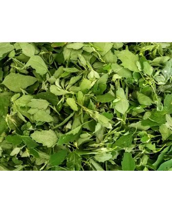 Wild Spinach AKA Lamb's Quarters Seeds (Naturally Grown)