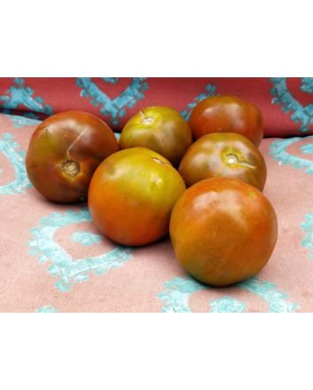 Tomato 'Rosso Bruno' AKA 'Kumato' Seeds (Naturally Grown)