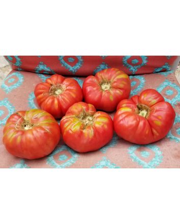Tomato 'Brandywine'