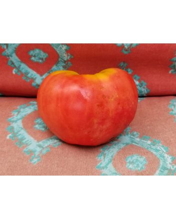 Tomato 'Pink Honey' AKA 'Rozovyi Myod' 