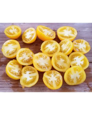 Tomato 'Orange Sunrise' 