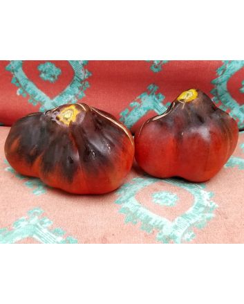 Tomato 'Blue Pear'