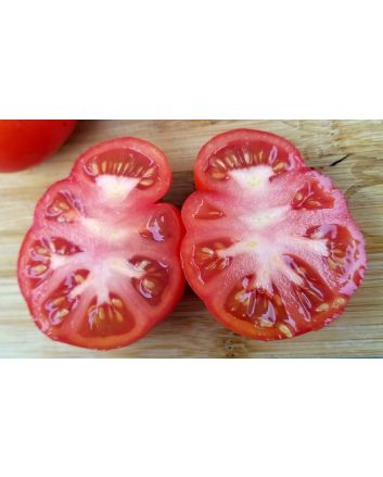 Tomato 'Homestead'