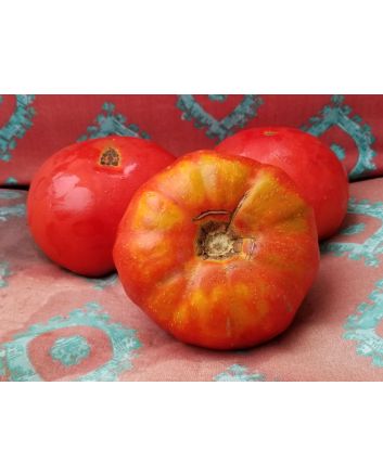 Tomato 'Giant Belgium' Seeds