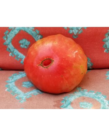 Tomato 'Mr. Brown Pink' 