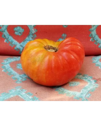 Tomato 'Mr. Brown Pink' 