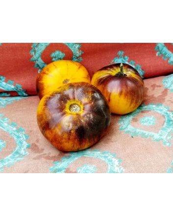Tomato 'Lucid Gem' Seeds