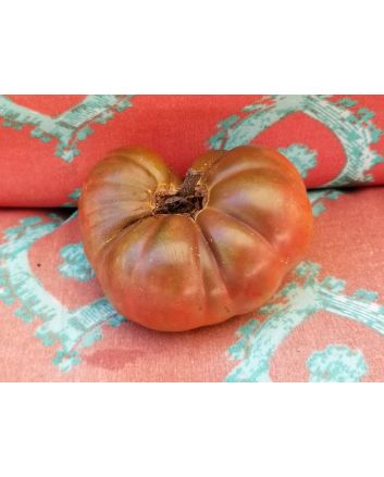 Tomato 'Cherokee Carbon' (Heirloom Marriage)