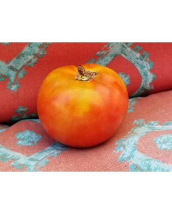 Tomato 'Thessaloniki'