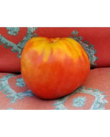 Tomato 'Reif Red Heart' 
