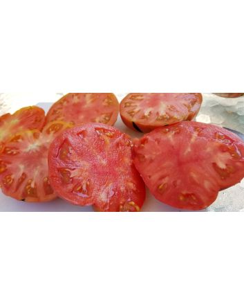 Tomato 'Ferris Wheel' 