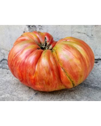 Tomato 'Pink Jazz'