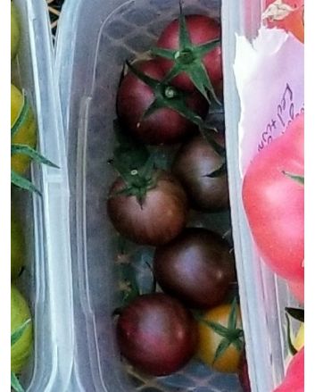 Tomato 'Purple Bumble Bee'