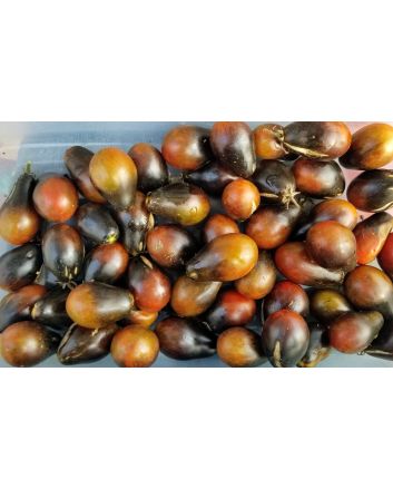Tomato 'Black Keyes' 