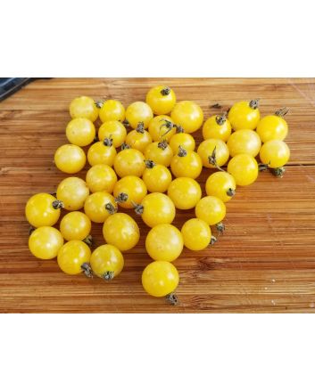 Tomato 'White Currant'