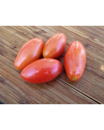 Tomato 'Juliet F2' 