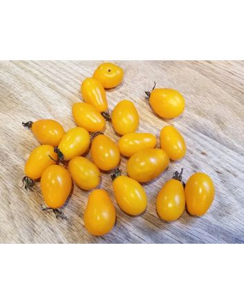 Tomato 'RB Yellow Grape' 
