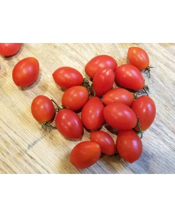 Tomato 'RB Red Grape'