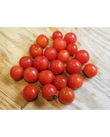 Tomato 'Sibirskiy' 
