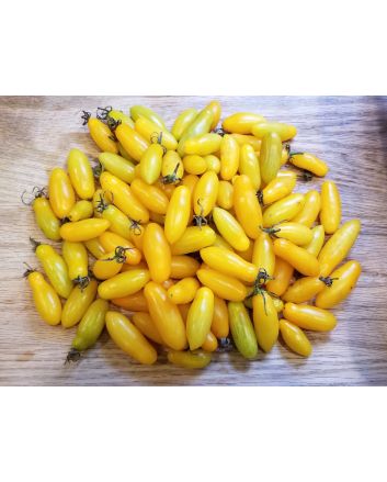 Tomato 'Starlight' Seeds