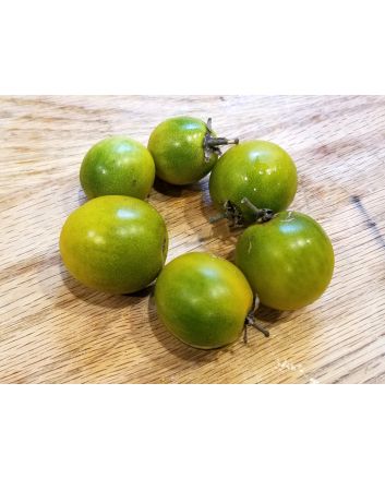 Tomato 'Small Green Cherry' 