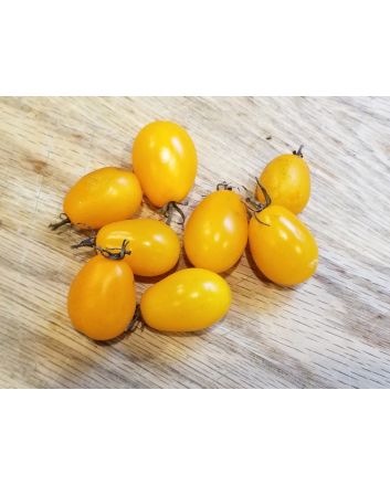 Tomato 'RB Yellow Grape' 