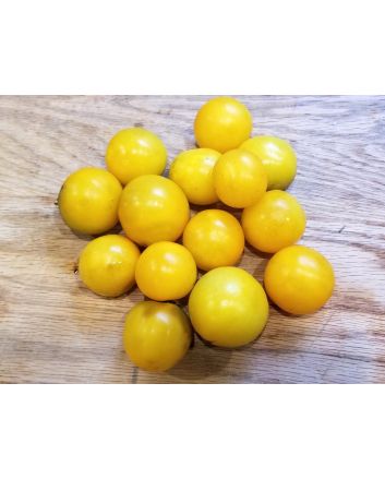 Tomato 'Large Yellow Cherry' 