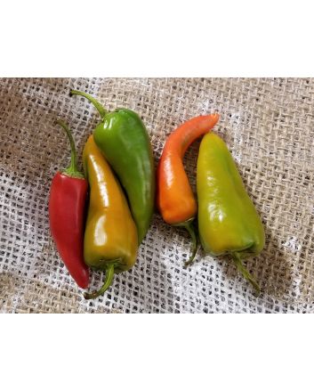 Hot Pepper ‘Cyklon' Seeds (Naturally Grown)