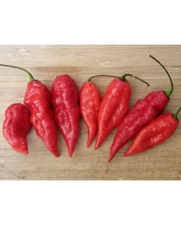 Hot Pepper ‘Carolina Reaper x Bhut Jolokia (Ghost)' Seeds (Naturally Grown)