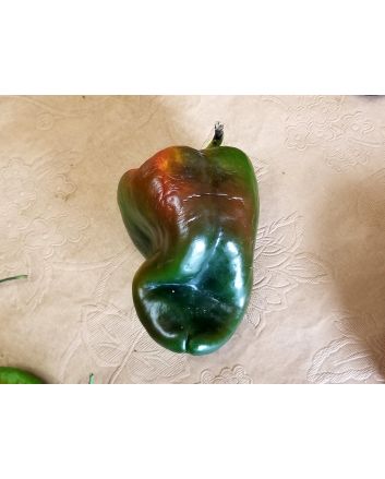 Hot Pepper 'Ancho San Luis Poblano' Seeds (Naturally Grown)