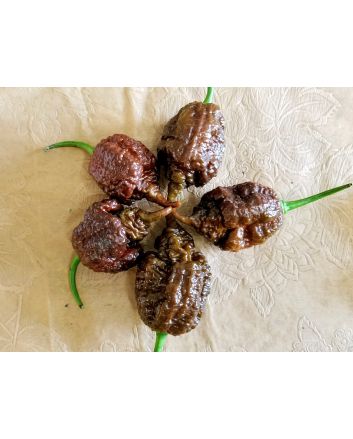 Hot Pepper ‘Big Black Mama' Seeds (Naturally Grown)