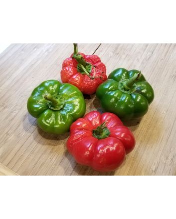 Sweet Pepper 'Liebesapfel' aka 'Love Apple' Seeds (Naturally Grown)