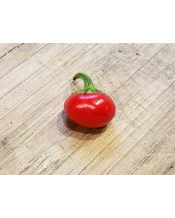 Sweet Pepper ‘Baby Red Bell' Seeds (Naturally Grown)