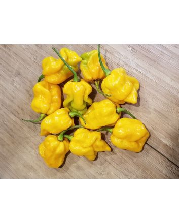 Hot Pepper ‘Bonda Mahala' Seeds (Naturally Grown)