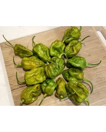 Hot Pepper ‘Big Mustard Mama' Seeds (Naturally Grown)
