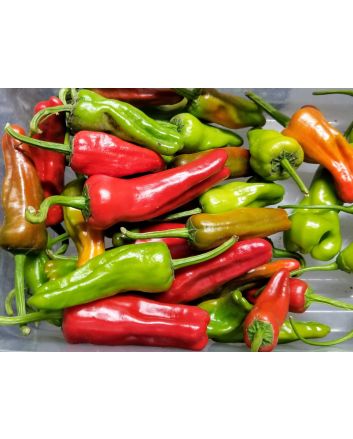 Hot Pepper 'Aci Sivri Biber Cross' Seeds (Certified Organic)