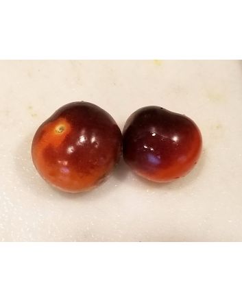 Tomato 'Blue Berries' 