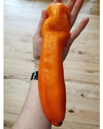 Pepper 'Super Sweet Giant Sunrise' Seeds (Naturally Grown)