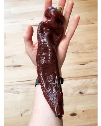 Pepper 'Super Sweet Giant Chocolate' Seeds (Naturally Grown)