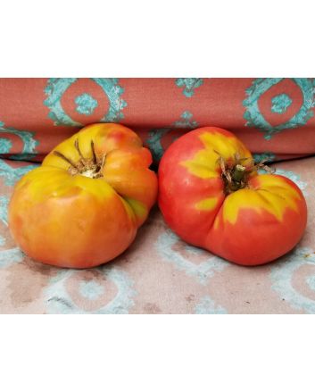 Tomato 'Aunt Ginny's Purple' 