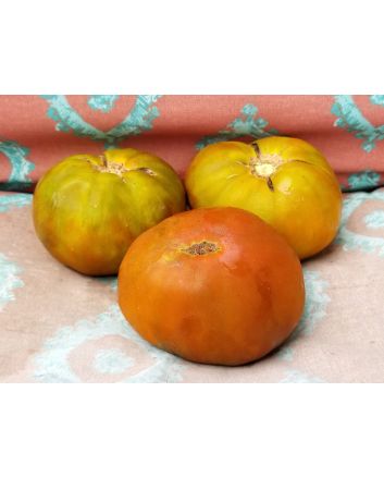 Tomato 'Cherokee Chocolate'
