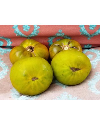 Tomato 'Izumrudnoye Yabloko' AKA 'Emerald Apple' 