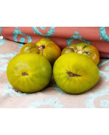 Tomato 'Izumrudnoye Yabloko' AKA 'Emerald Apple' 