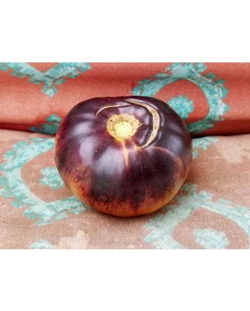 Tomato 'Blue Beauty' 